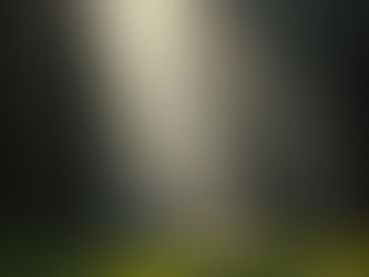 July 8, 2026 - Only the Spirit Knows