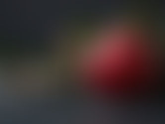 November 25, 2025 -Sinful Nature