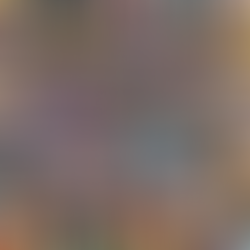 Julio llega con novedades: nuevos libros, América Latina y el nacimiento de VXNoticias