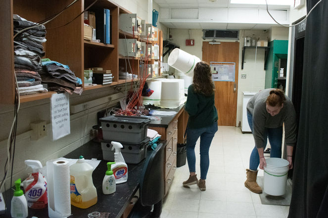 Goforth’s research takes place within the Lohmann Lab at the University of North Carolina at Chapel Hill, a research team combining techniques from biology, physics, and engineering to research marine animals with specific focuses on behavior, sensory biology, and neuroscience. 
 
The lab is run by Kenneth Lohmann, Ph.D. and Catherine Lohmann, Ph.D., whose research interests mirror Goforth’s, and the research team currently is led by five graduate students including Goforth.