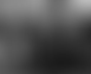 How Art Patronage History Is Written Through Risk and Continuity