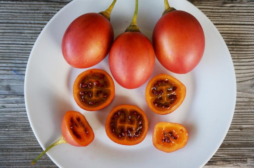 Tomate De Arbol – Tamarillo X kg