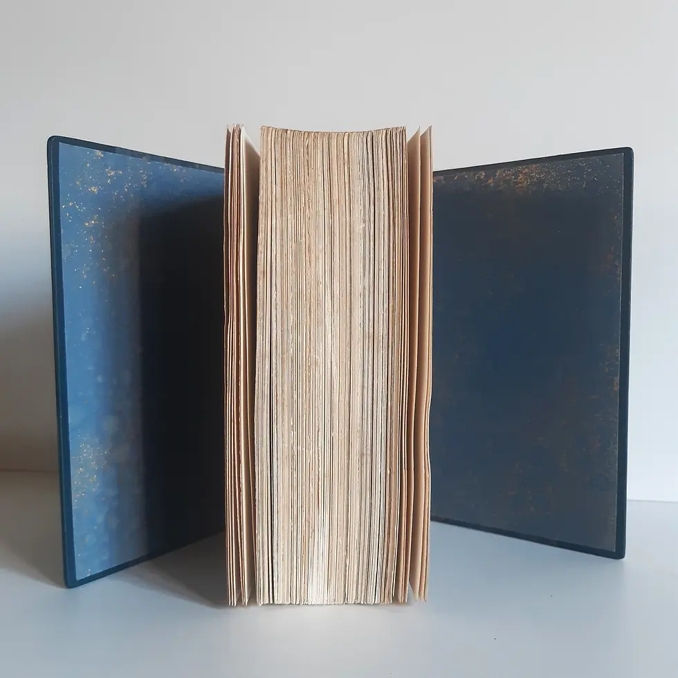 Miniature : LOUYS PIERRE "Les Poèmes - Edition Définitive" 2 vol. reliés