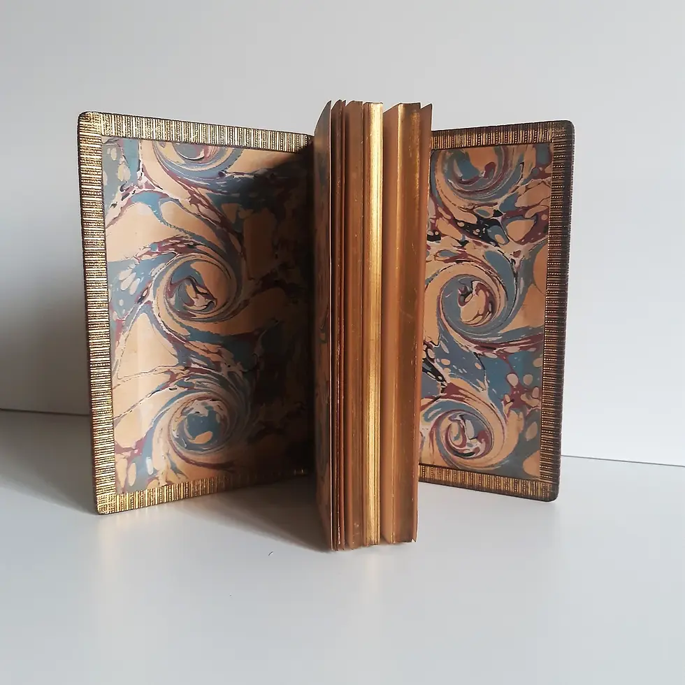 Miniature : DEHAYNIN G "Péchés de Jeunesse. Tome Premier"