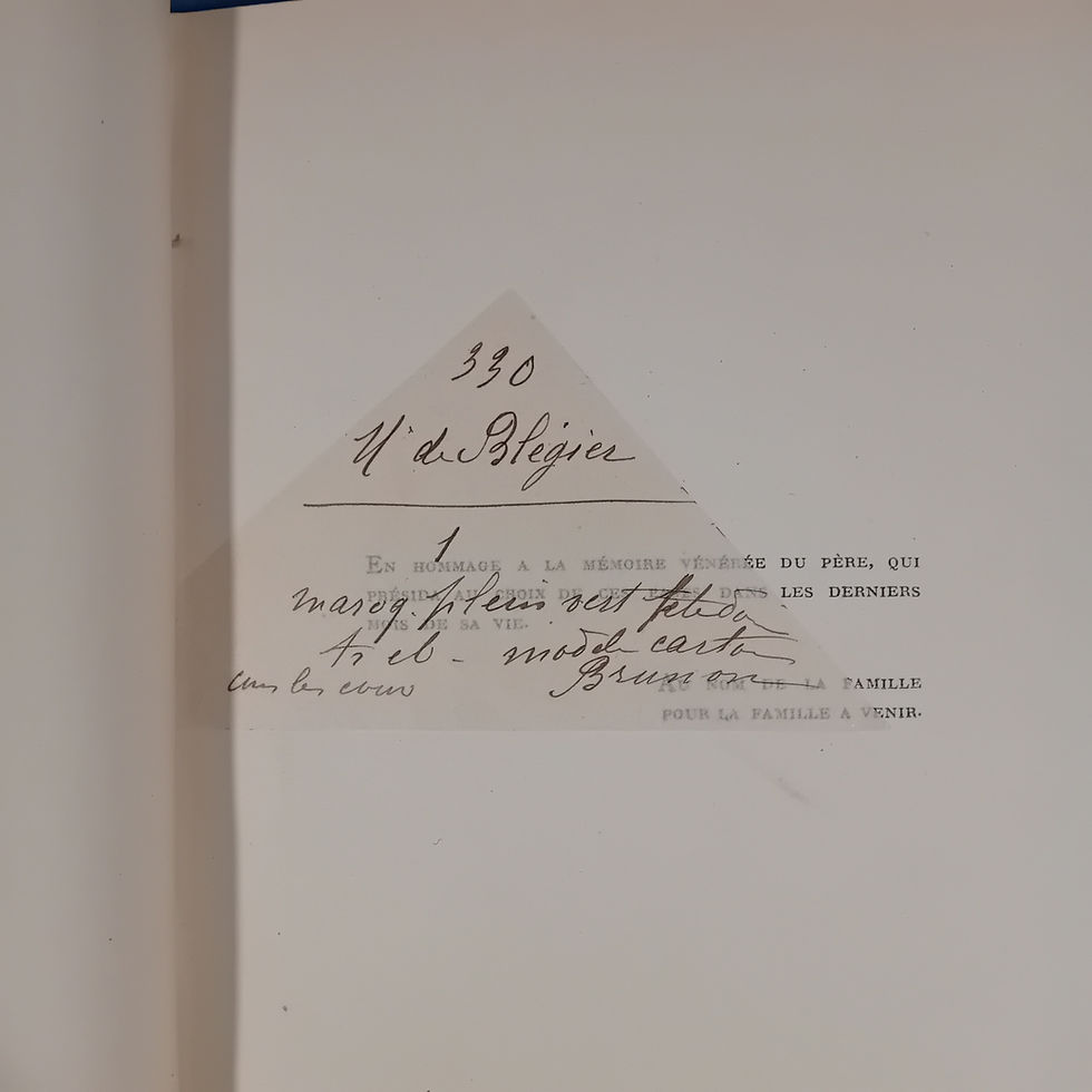 Thumbnail: BRUNON Raoul « Lettres d'un soldat de la grande Guerre 1914-1917 – In Memoriam »