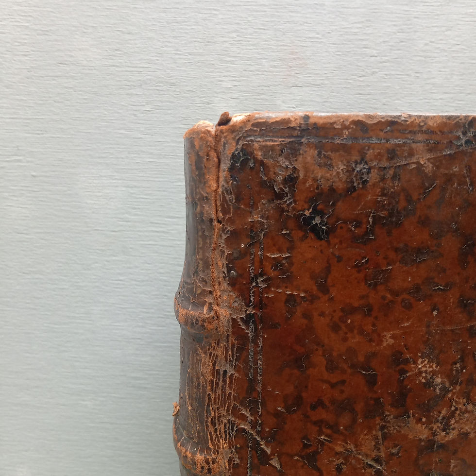 Miniature : « Observations importantes sur le Manuel des Accouchemens »