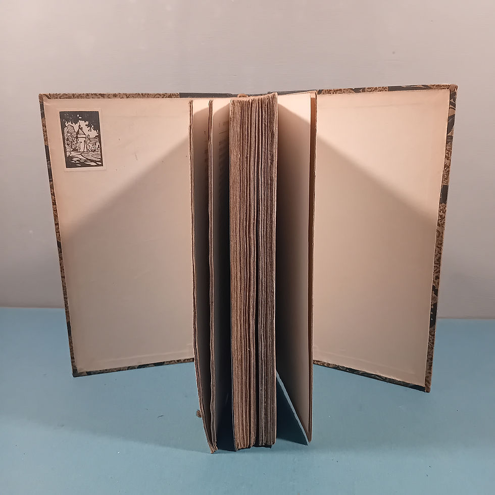 Miniature : BATAILLE Albert « Causes criminelles et mondaines de 1880 à 1897-98  » - 18 vol.