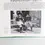 Thumbnail: MONJARRET Polig « Toniou Breiz-Izel – Musique populaire de Basse Bretagne »