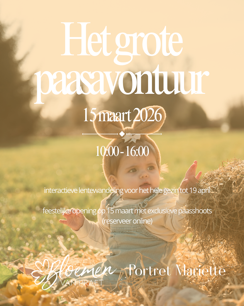 Het Grote Paasavontuur