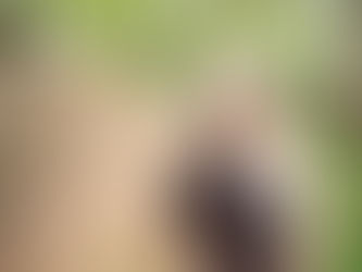 Lactation Care with Elizabeth in Lexington KY founder headshot