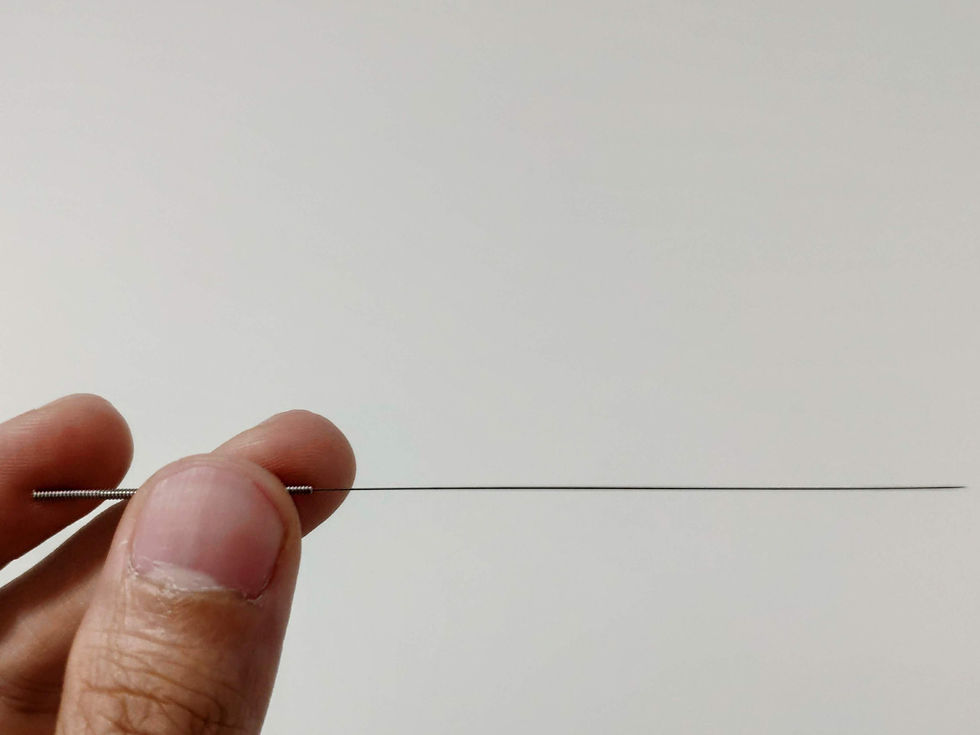 Acupuncture needle.