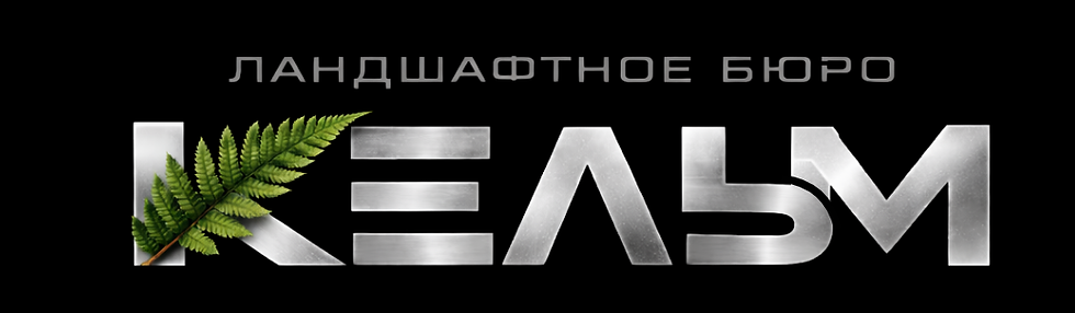 Дизайн без названия (5).png