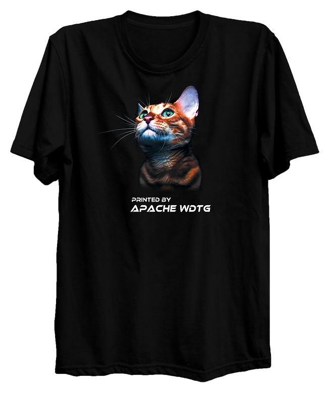 Apapche_Cat_ WDTG.png