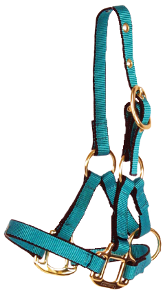 Burwash Llama Halter