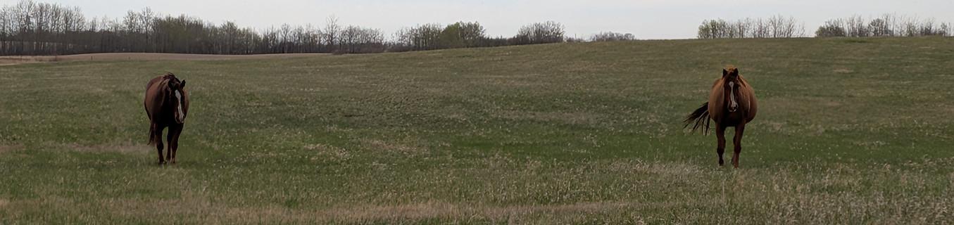 PXL_20260513_154750435.jpg