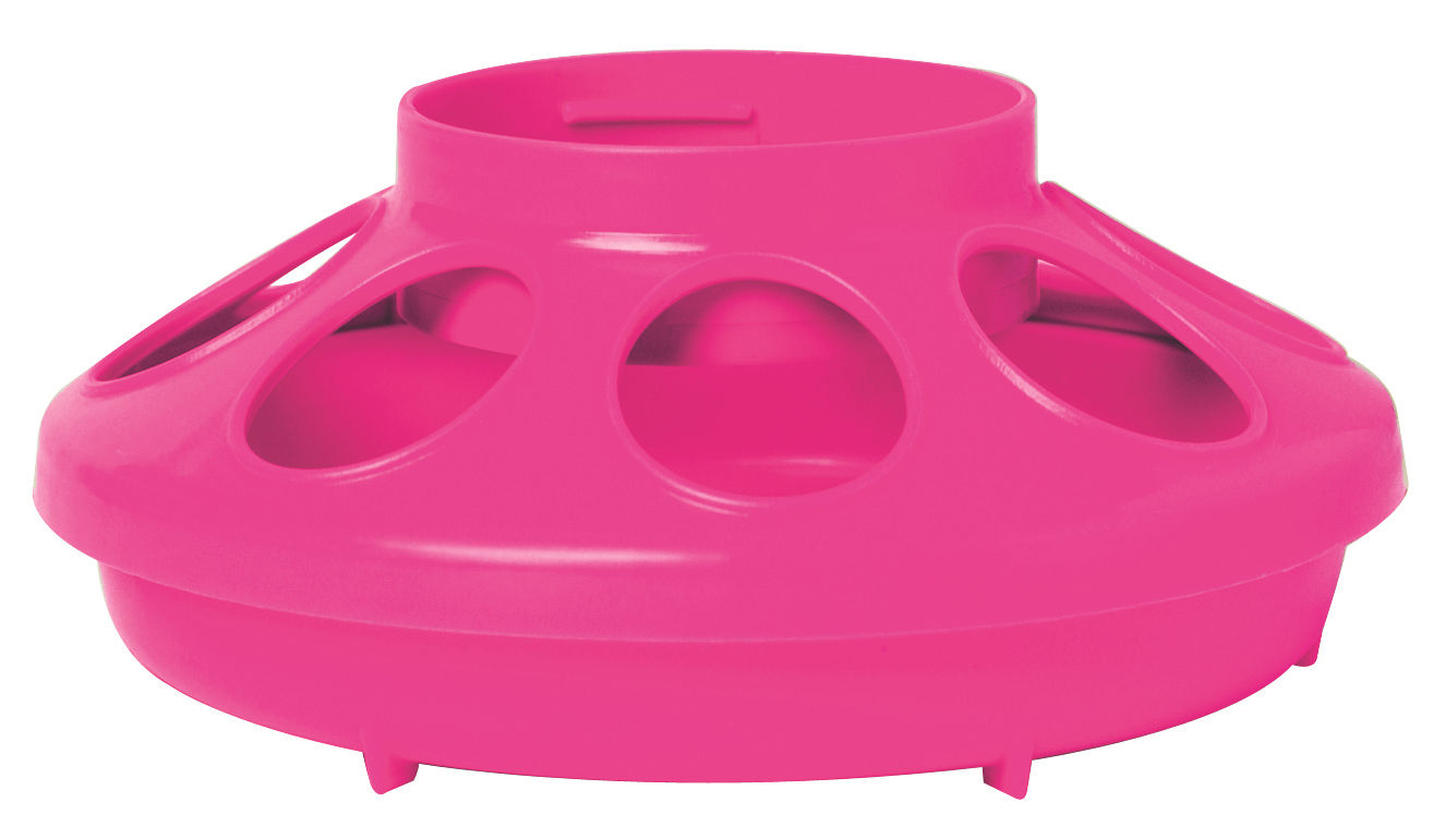 1qt Jar Feeder Base