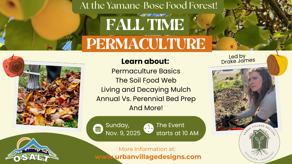 Fall Time Permaculture