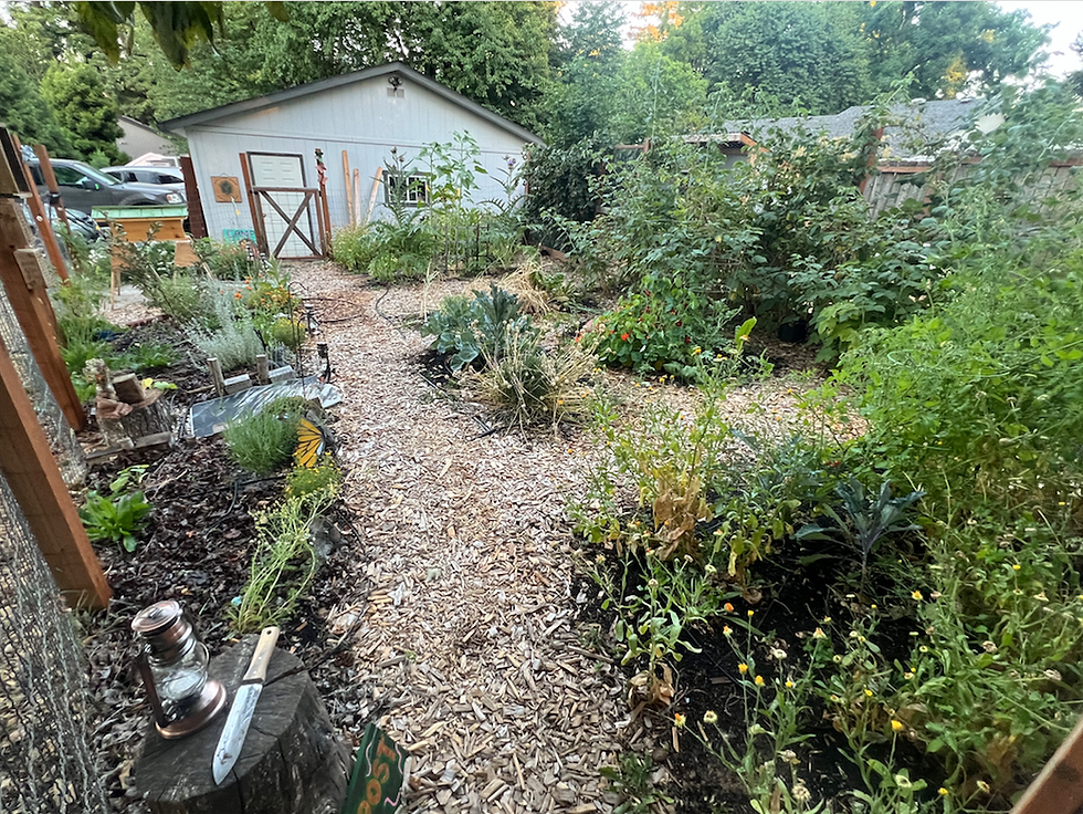 Screen Shot 2026-02-23 at 10.28.13 AM