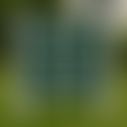 The 1911 House will now be known as The Rush History & Heritage Center