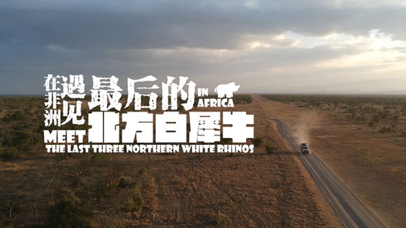 【发布版】在非洲,遇见最后的北方白犀牛.00_00_15_00.Still001.jpg