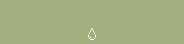 2024_EDM_Rainforest_GWP_Drp_gif_v2.gif