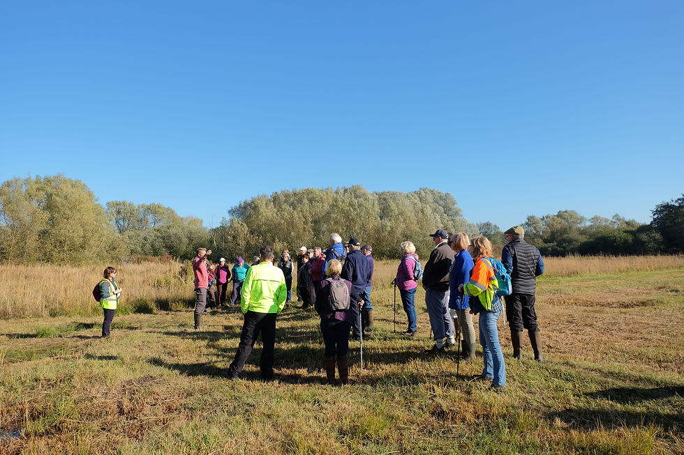 Hidden World of the upper Little Ouse valley