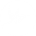 MyPodo nur Colibri weiss Icon.png