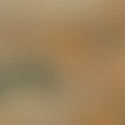 BSHP Summer Excursion 18/7/25