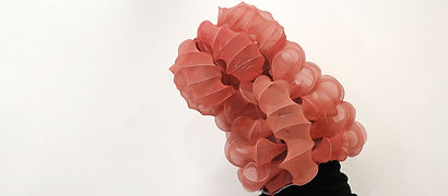 shell1_edited.jpg