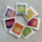 Seven herbal tea samples in compostable teabags, individually wrapped in glassine envelopes - Magical Forest Mornings, Rise & Sunshine, Dappled Light, Autumn on Wye, Campfire Glow, Mellow Meadow, Sugarloaf Sunsets
