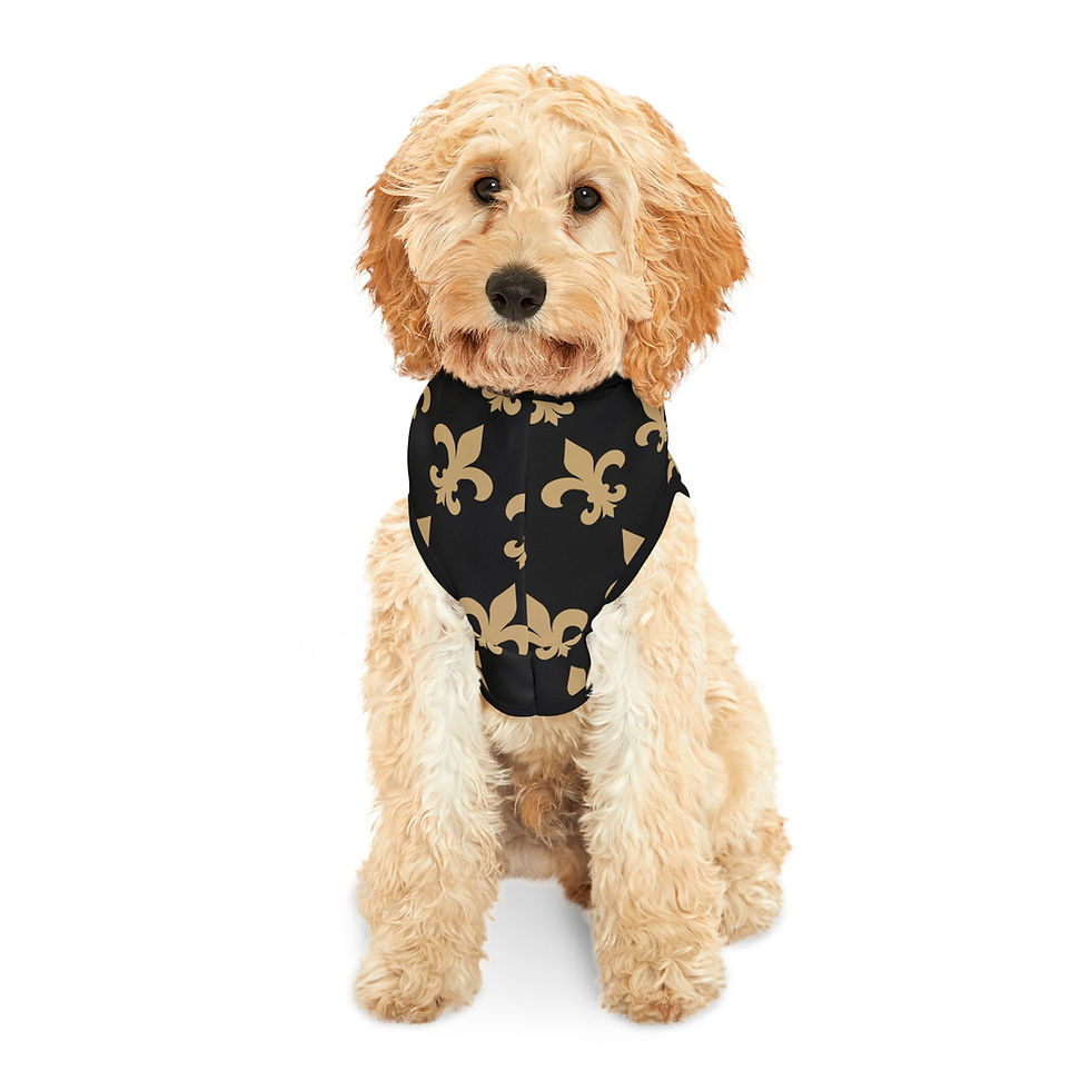Thumbnail: Black FDL Pet Hoodie