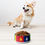 Thumbnail: Louisiana Creole Heritage Flag Pet bowl