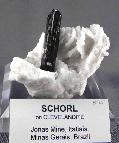 Thumbnail: #8715 / Tourmaline var. SCHORL