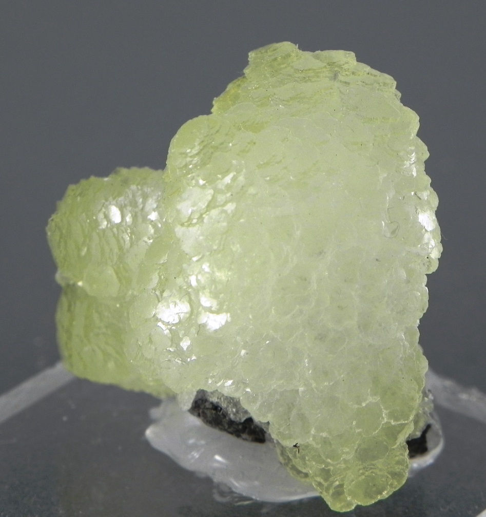 Thumbnail: #05 / BRUCITE - Pakistan