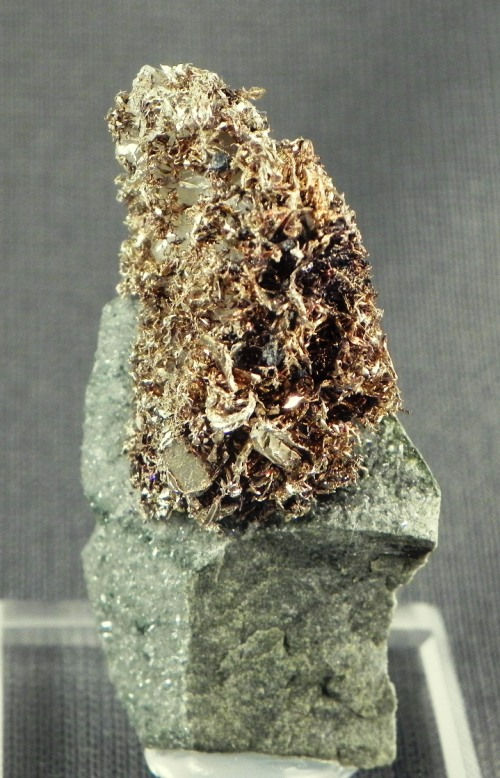 Thumbnail: #0110 / GOLD - Nevada, USA
