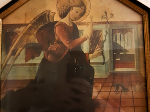 An angel holding an olive branch to an arguing cat and dog.