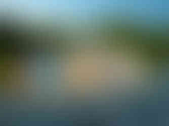 Relaxing Oceanfront Retreat - Hot tub, Sauna, Heated Pool & Clear All Weather Domes - Private