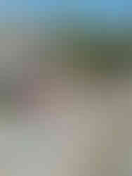 Designer Oceanfront Villa - Hot tub & Sauna - Private