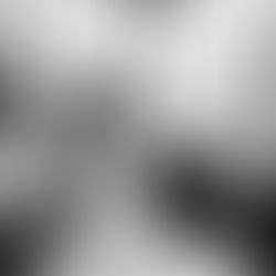 What Does a Wedding Planner Do?