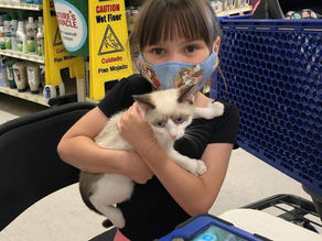 Theodore Found His FurEver Home!