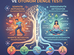 Sempatik alarmdan parasempatik dinginliğe uzanan yolculuğun haritası. Sende denge nasıl?