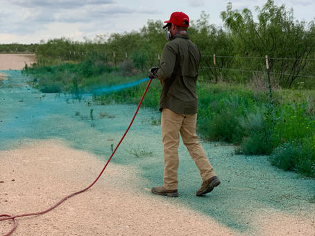 Tejas Pest and Weed Control technician treating ground near West Texas shrubs and trees for Big Spring TX tree care