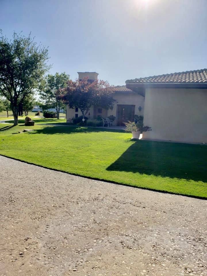 Lush green residential Bermuda lawn with light gravel driveway, tan stucco Southwest-style home with dark clay-tile roof and wood double doors, ornamental purple-leaf tree and mature green tree under a clear West Texas sky — Tejas Pest and Weed Control lawn care