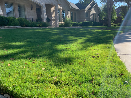 Low-angle view of a thick green residential lawn in fall sunlight with long tree shadows and a few fallen leaves, brick single-story home with arched entry and trimmed shrubs behind — Tejas Pest and Weed Control lawn aeration