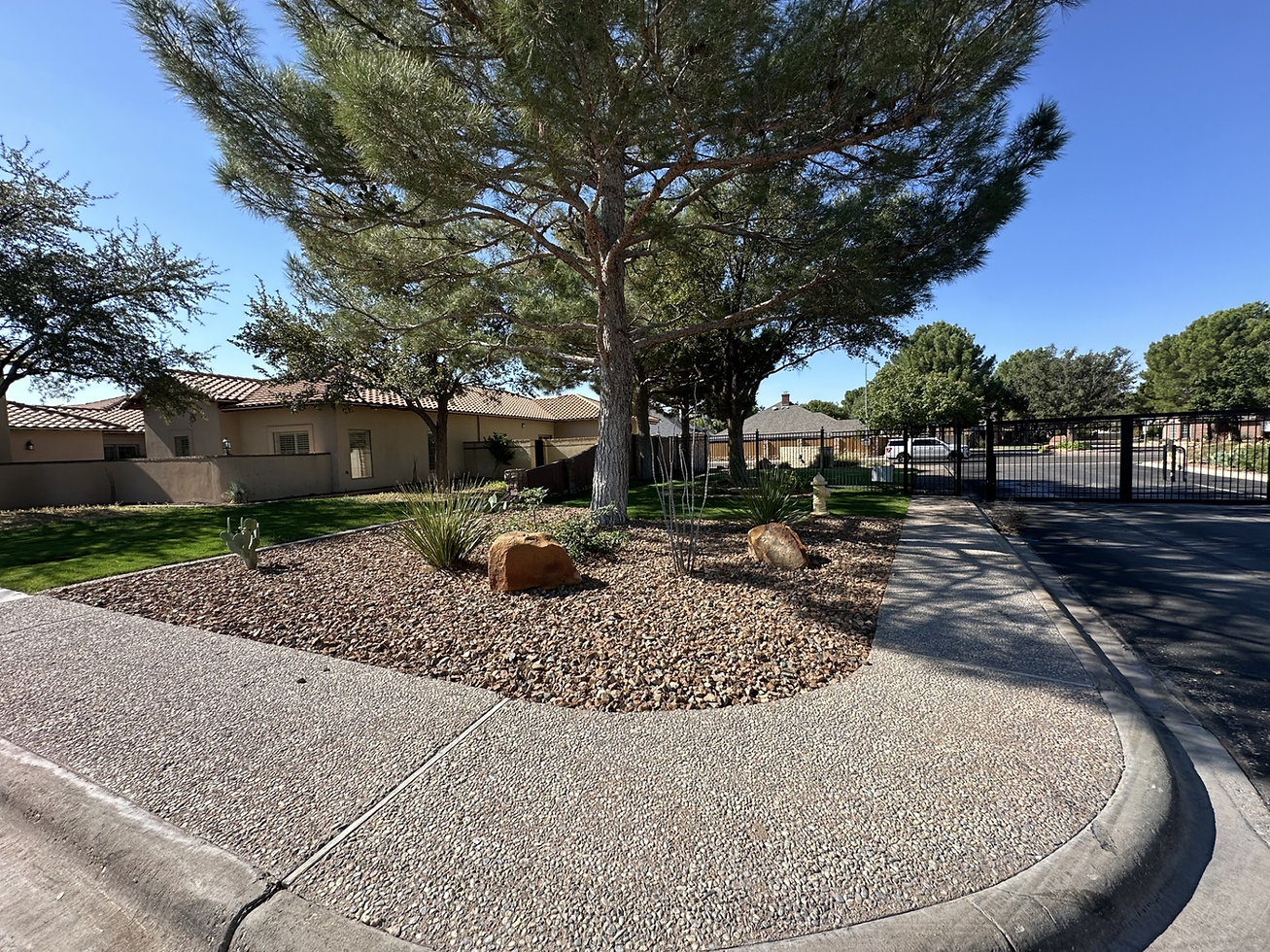 Pine and shade trees above a xeriscape bed in a West Texas neighborhood, the kind of landscape trees Tejas Pest and Weed Control checks for fall stress