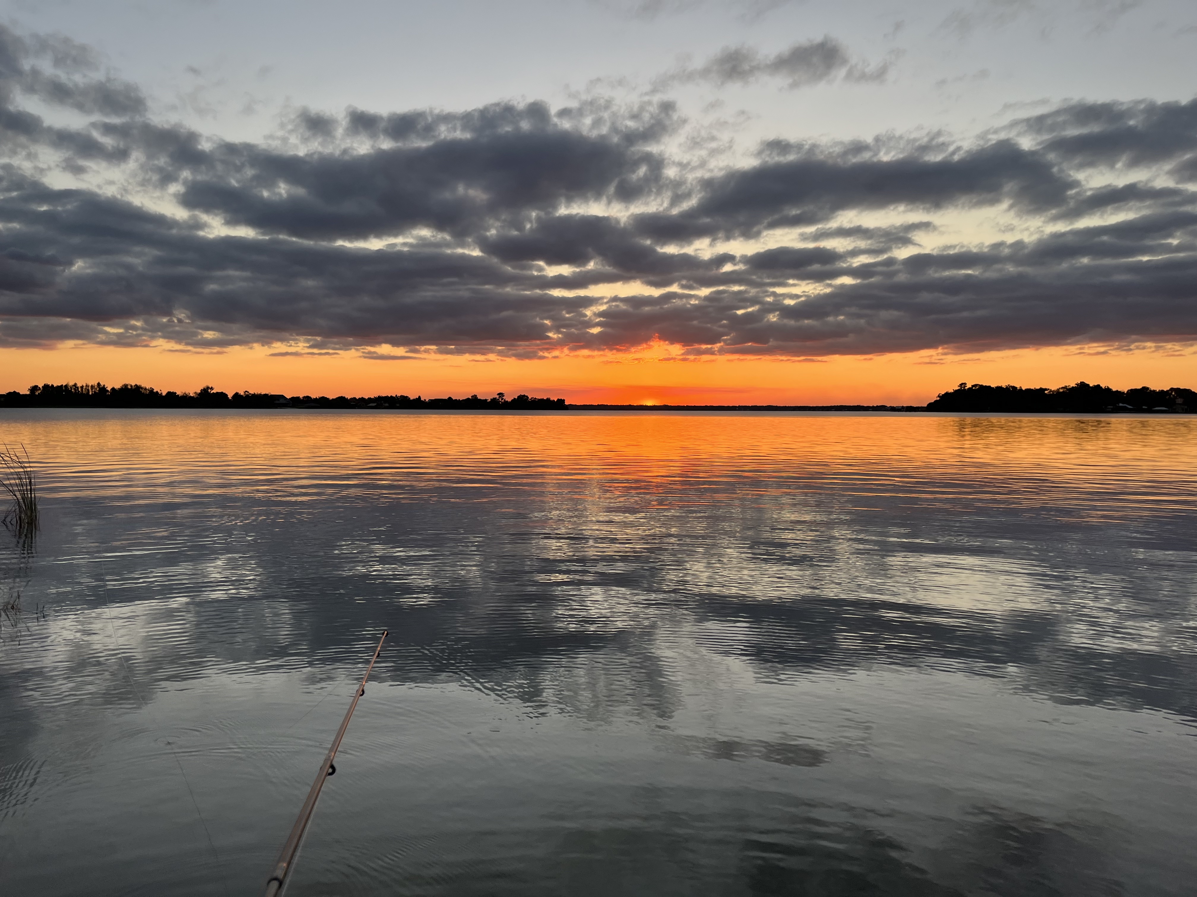 Florida bass fishing lake at sunrise