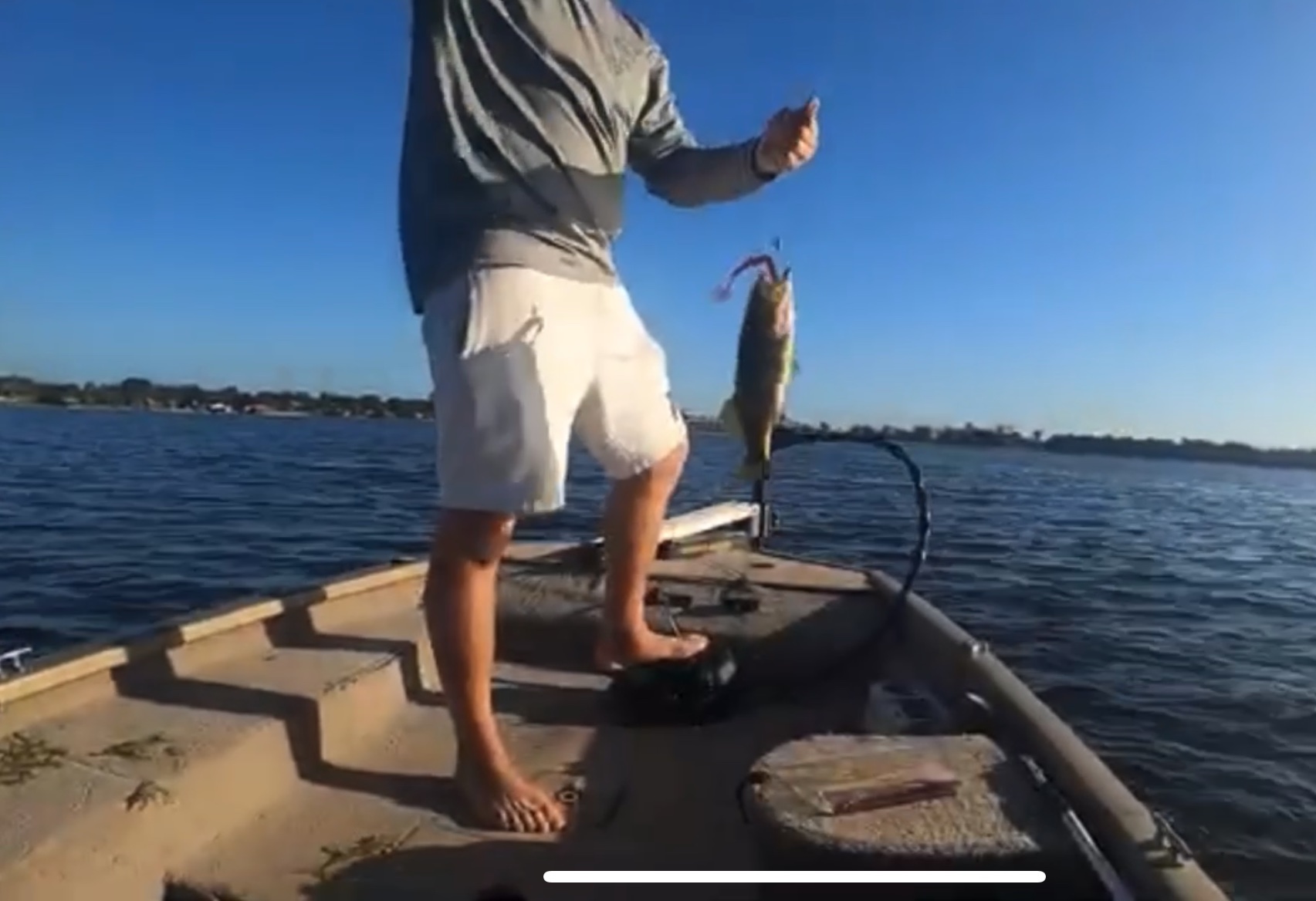 Fish on the water