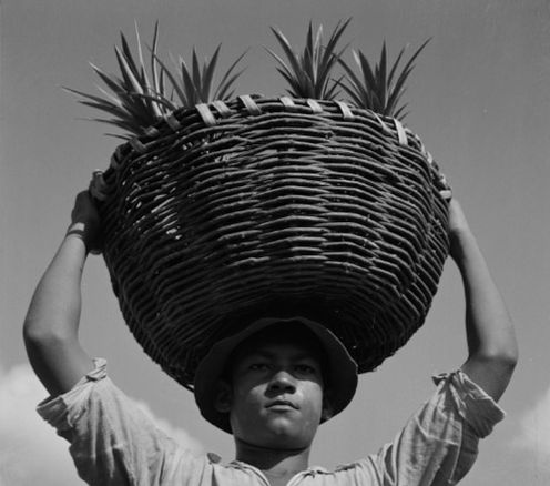 download (37)_edited.jpg