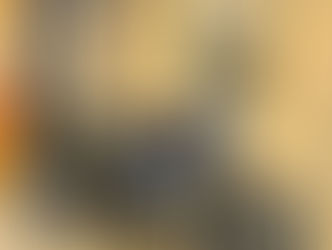 “STREET BULL” ついに降臨‼