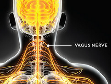 Trauma, Stress, & the Vagus Nerve